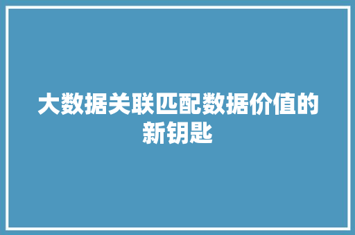 大数据关联匹配数据价值的新钥匙