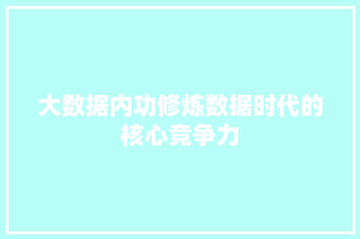 大数据内功修炼数据时代的核心竞争力