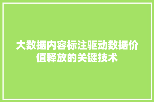 大数据内容标注驱动数据价值释放的关键技术