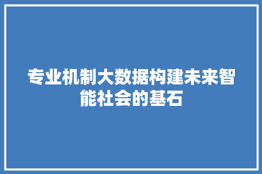 专业机制大数据构建未来智能社会的基石