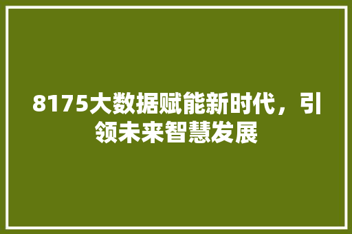 8175大数据赋能新时代，引领未来智慧发展
