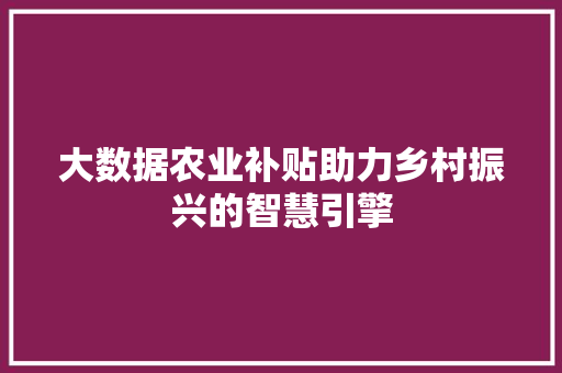 大数据农业补贴助力乡村振兴的智慧引擎