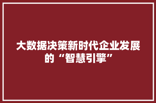 大数据决策新时代企业发展的“智慧引擎”