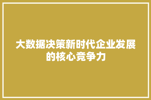 大数据决策新时代企业发展的核心竞争力