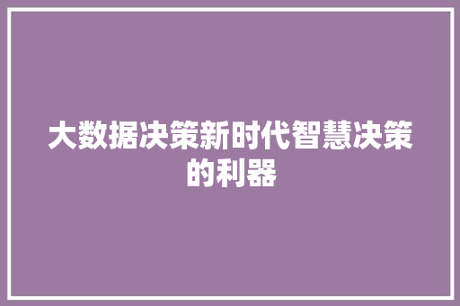 大数据决策新时代智慧决策的利器