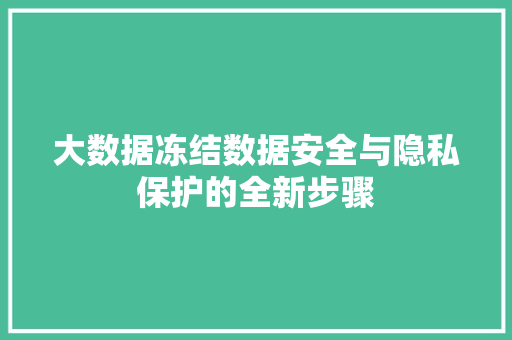 大数据冻结数据安全与隐私保护的全新步骤