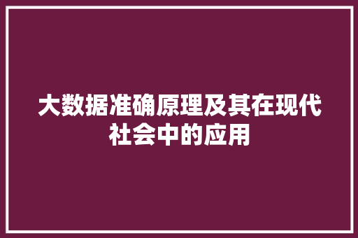 大数据准确原理及其在现代社会中的应用