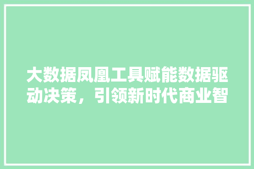 大数据凤凰工具赋能数据驱动决策，引领新时代商业智慧