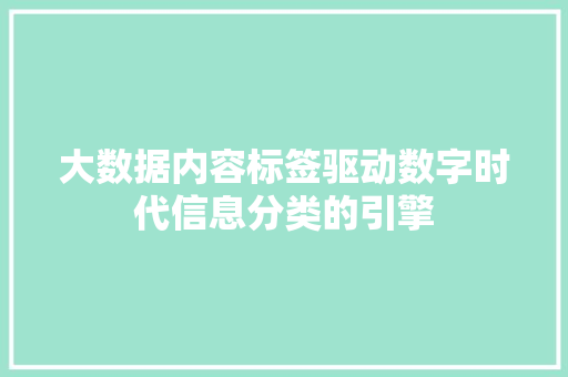 大数据内容标签驱动数字时代信息分类的引擎