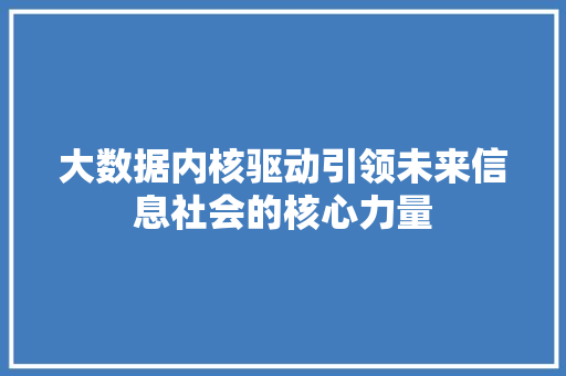 大数据内核驱动引领未来信息社会的核心力量