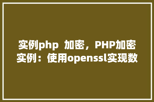 实例php  加密，PHP加密实例：使用openssl实现数据加密和解密