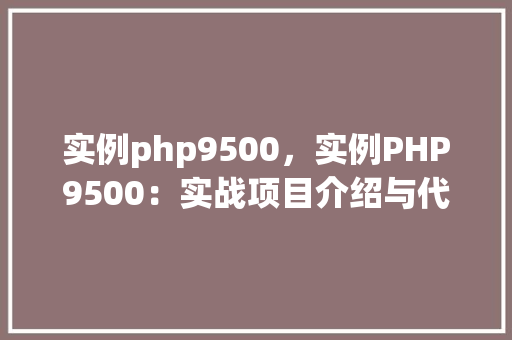 实例php9500，实例PHP9500：实战项目介绍与代码示例