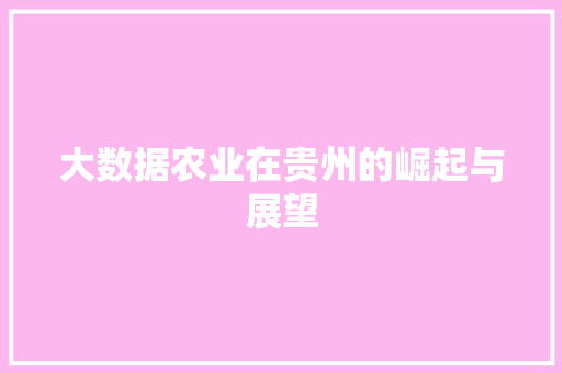 大数据农业在贵州的崛起与展望