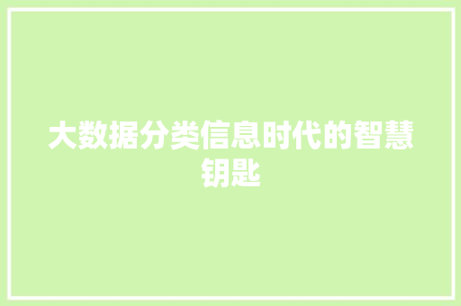 大数据分类信息时代的智慧钥匙
