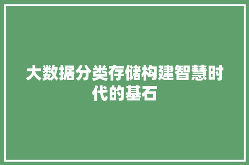 大数据分类存储构建智慧时代的基石