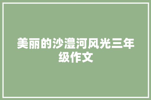 大数据分类平台构建智慧未来的基石