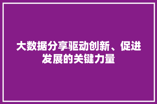 大数据分享驱动创新、促进发展的关键力量