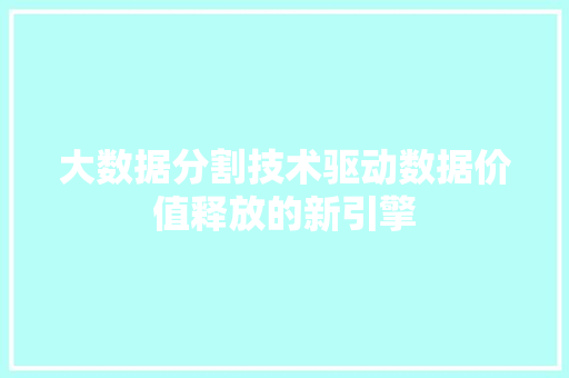 大数据分割技术驱动数据价值释放的新引擎