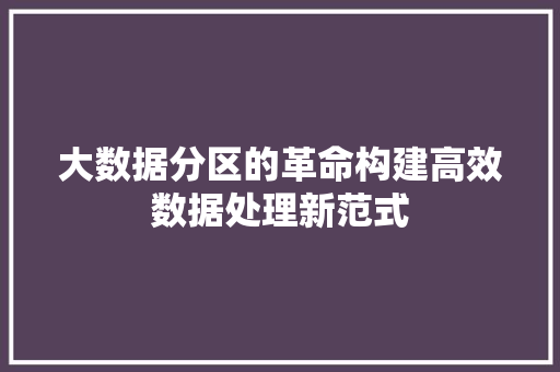 大数据分区的革命构建高效数据处理新范式