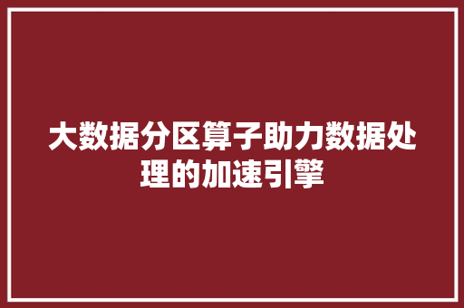 大数据分区算子助力数据处理的加速引擎