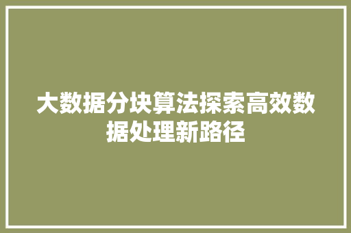 大数据分块算法探索高效数据处理新路径