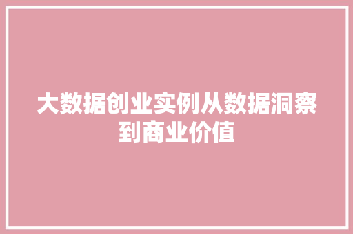 大数据创业实例从数据洞察到商业价值