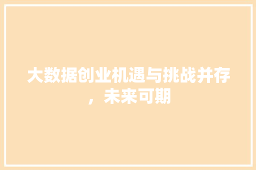 大数据创业机遇与挑战并存，未来可期