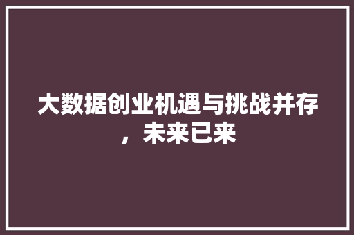 大数据创业机遇与挑战并存，未来已来  第1张