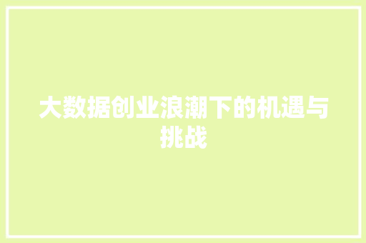 大数据创业浪潮下的机遇与挑战