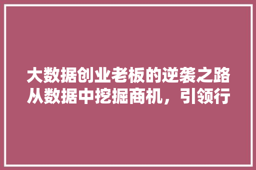 大数据创业老板的逆袭之路从数据中挖掘商机，引领行业变革