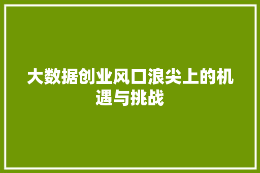 大数据创业风口浪尖上的机遇与挑战