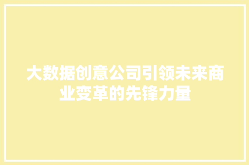 大数据创意公司引领未来商业变革的先锋力量