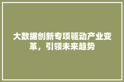 大数据创新专项驱动产业变革，引领未来趋势