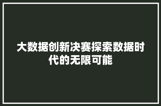 大数据创新决赛探索数据时代的无限可能