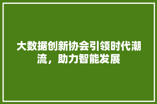 大数据创新协会引领时代潮流，助力智能发展