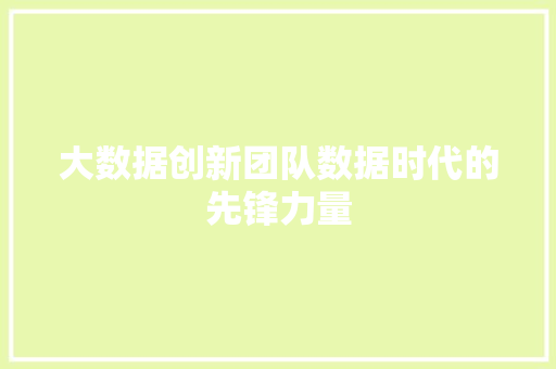 大数据创新团队数据时代的先锋力量