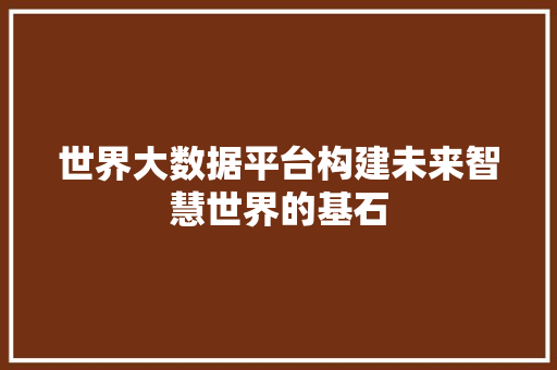 世界大数据平台构建未来智慧世界的基石