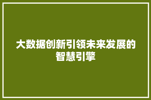 大数据创新引领未来发展的智慧引擎