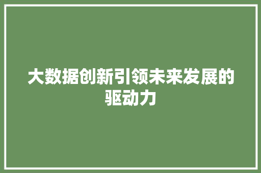 大数据创新引领未来发展的驱动力  第1张