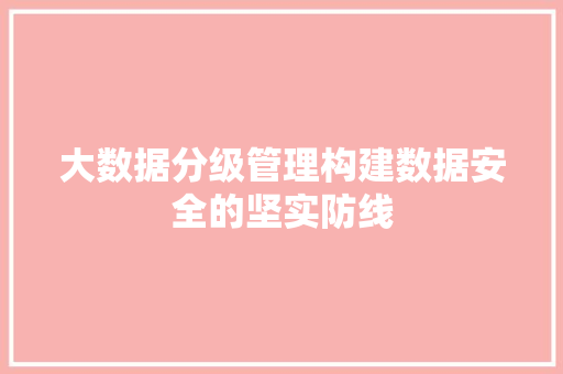 大数据分级管理构建数据安全的坚实防线