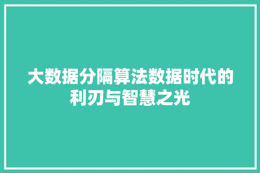 大数据分隔算法数据时代的利刃与智慧之光