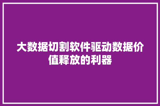 大数据切割软件驱动数据价值释放的利器  第1张