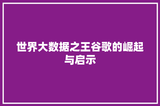 世界大数据之王谷歌的崛起与启示