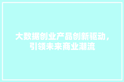 大数据创业产品创新驱动，引领未来商业潮流